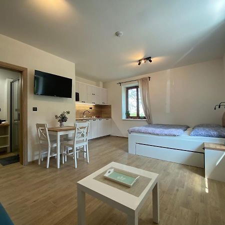 Appartamento Ruzickuv Dvur Hranice  Esterno foto