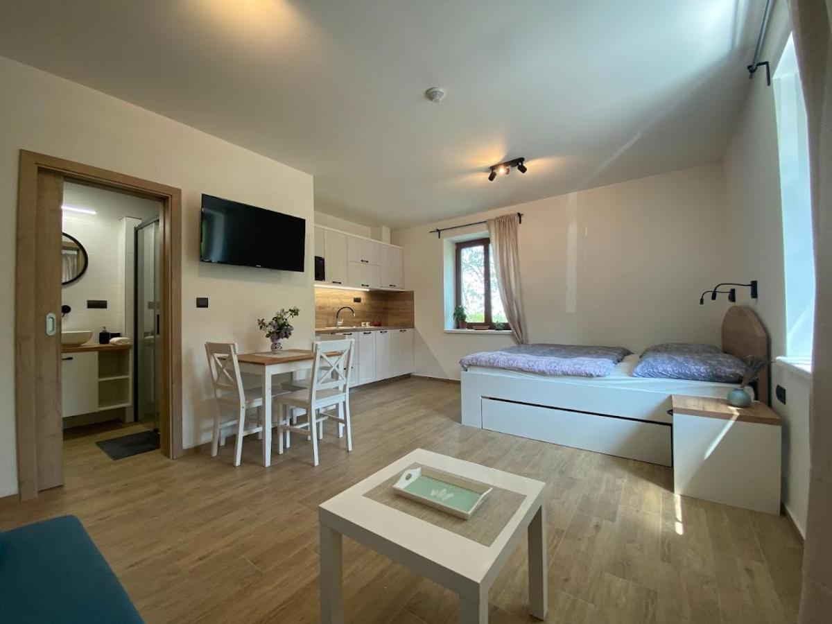 Appartamento Ruzickuv Dvur Hranice  Esterno foto